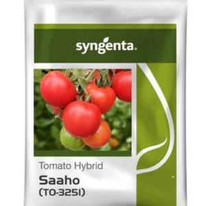 SAAHO TOMATO SEEDS [TO-3251]