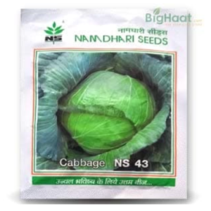 NS 43 CABBAGE